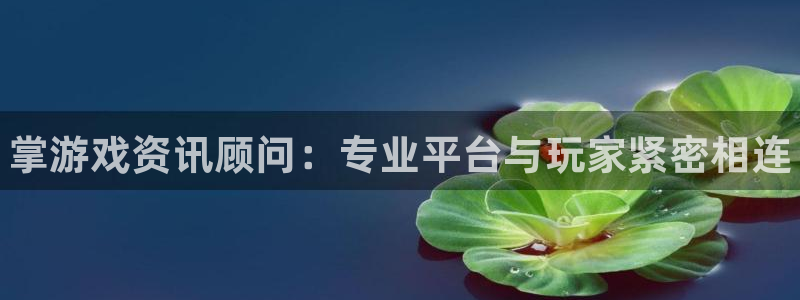 辉达娱乐代理登陆：掌游戏资讯顾问：专业平台与玩家紧密相连