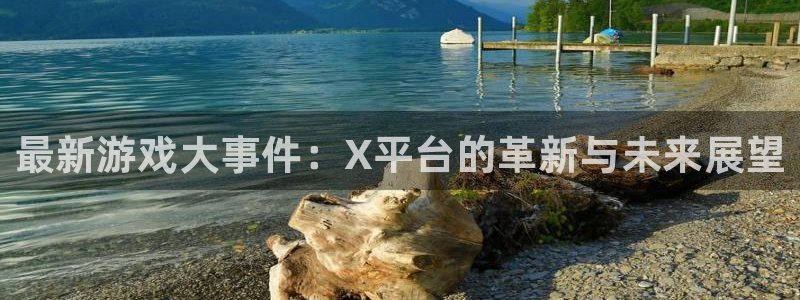辉达娱乐官网登录：最新游戏大事件：X平台的革新与未来展望