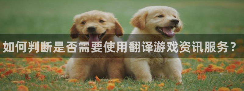 辉达娱乐网址官网
