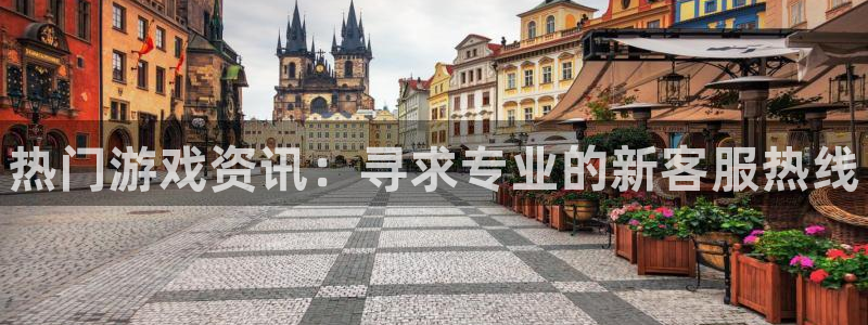 辉达娱乐娱乐是真的吗