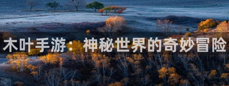 辉达娱乐下载链接