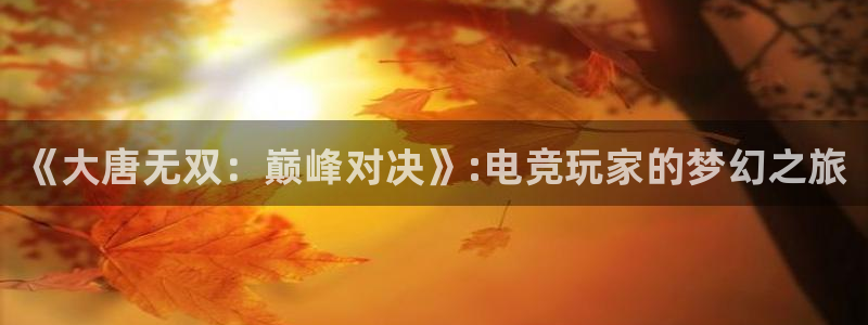 辉达娱乐平台官网入口