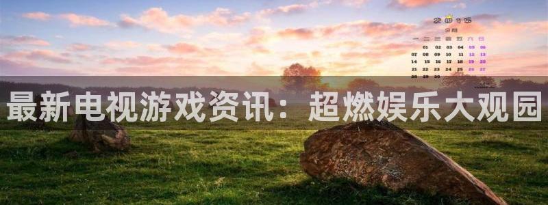 辉达娱乐