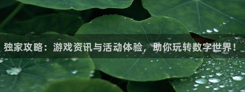 辉达娱乐下载链接