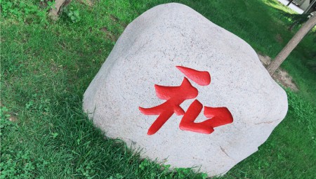 IM电竞健康厂区一角