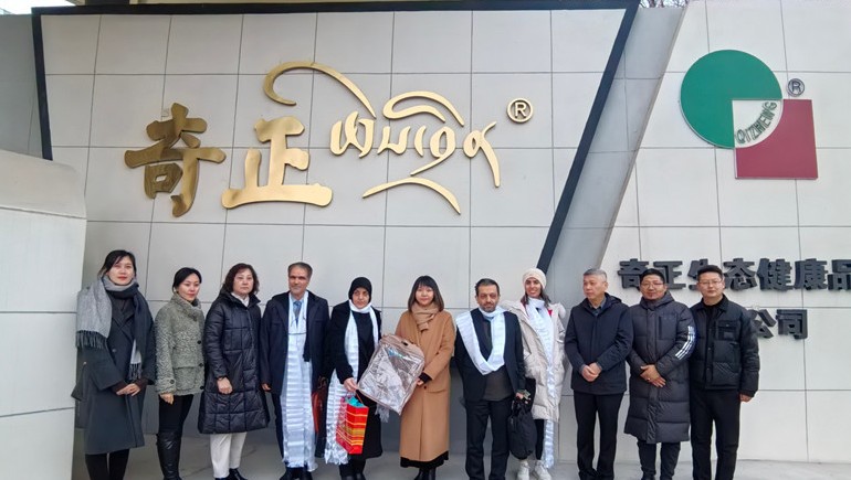 深掘藏医珍宝，共绘健康新篇——伊朗代表团莅临IM电竞集团参访互换