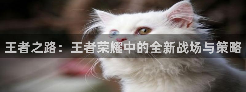 辉达娱乐4开户：王者之路：王者荣耀中的全新战场与策略