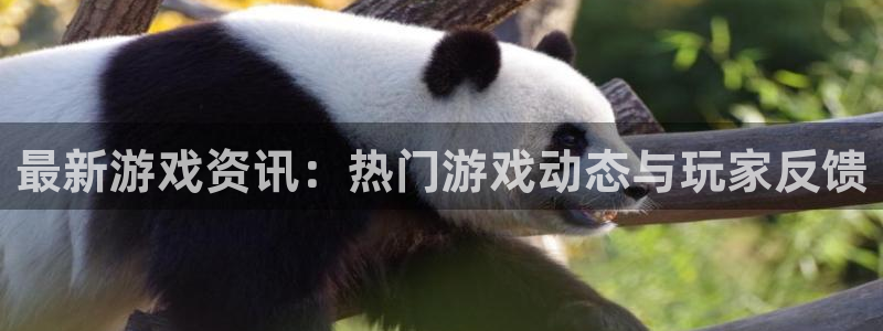 辉达娱乐注册登录：最新游戏资讯：热门游戏动态与玩家反馈