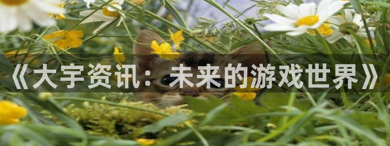 辉达娱乐2登录：《大宇资讯：未来的游戏世界》