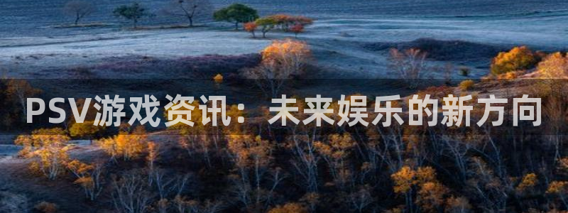 辉达娱乐：PSV游戏资讯：未来娱乐的新方向